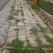 Oprava chodníků v obci Loučka 2014
